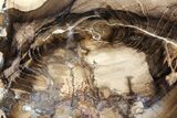 Petrified Wood (Cherry) Slab - McDermitt, Oregon #89315-1